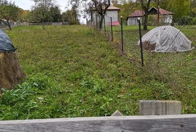 Teren de 1600 mp, în Provița de Sus - 3