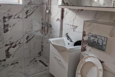 Apartament cu 2 camere decomandat în Ultracentral - 2