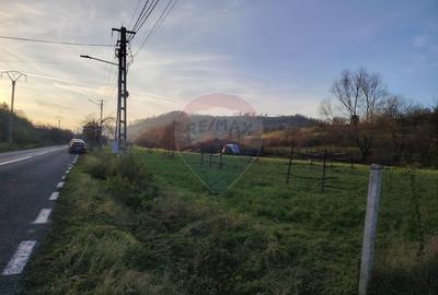 Teren Construcții intravilan de 2619 mp, în Bârsana - 3