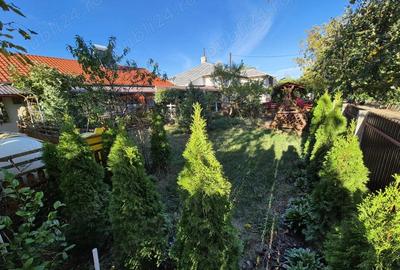 Casa de vanzare , comuna Pietroasele - 16