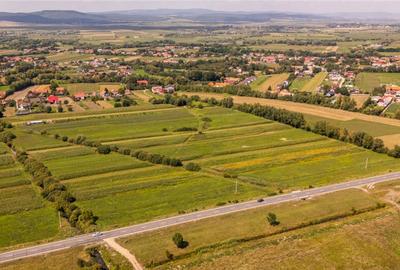 Teren extravilan Lunca Calnicului langa E574 - 10