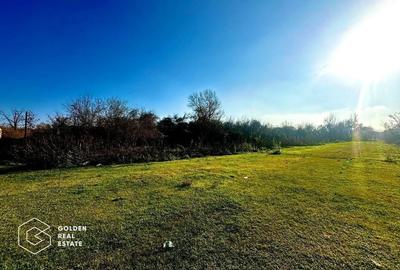 Teren intravilan 71.000mp, Barsa, Renumita Fabrica de caramida si casa 4 camere - 11