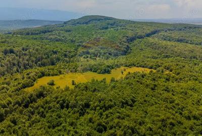 COMISION 0% Teren 1020mp / Intravilan/PUZ/ Grid - 1