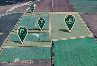 Teren de 117500 mp, în Turnu - 3