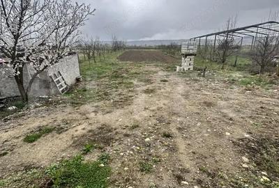 Casă cu Teren 2400 Mp în Central