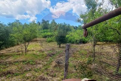 Teren Intravilan de vanzare 3551mp Poiana Copaceni Com Gura Vitioarei - 1