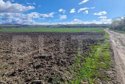 Teren Extravilan 15000 mp- parcelat in 3 loturi Bod- 5000 mp - 3