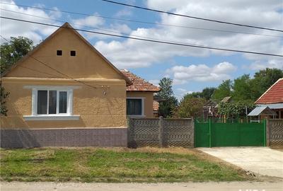 Casă cu 3 camere cu Teren 10000 Mp în Gherteniș - 12