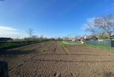 Casă cu 4 camere în Crunți - 3