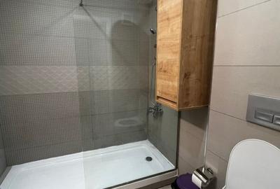 Apartament Victoriei -  Banu Manta - 13