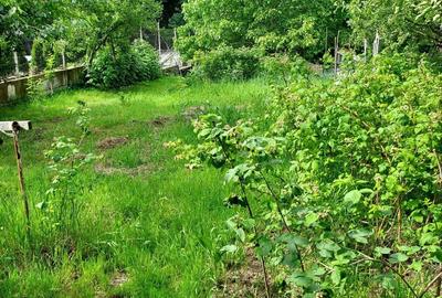 Teren de 1195 mp, în Făget