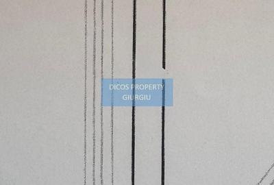 Teren agricol extravilan de 5000 mp, în Vest - 2