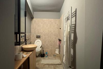 Inchiriere gaarsoniera Universitate Rosetti Mosilor - 4