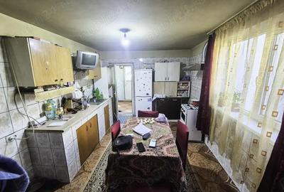 Casa Borlesti Merisani Arges - 13