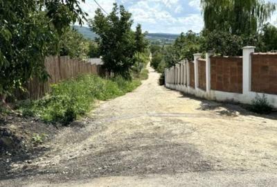 Spațiu comercial, în Bucium - 7