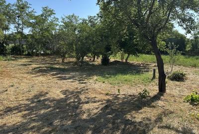 Casă cu 2 camere în Văcăreasca - 7