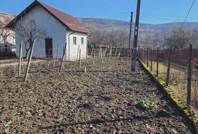 Casă cu 4 camere cu Teren 3000 Mp în Călinești - 8