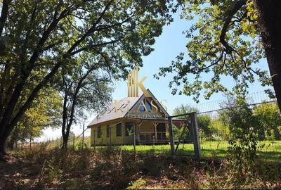 Casa moderna, 3 camere, 2023  Moara Vlasiei, in mijlocul naturii - 1