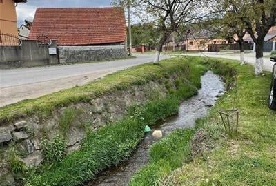 Sarmul traditiei imbinat cu confortul modern: Rezidenta de exceptie, Central, Ta Sarmul traditiei imbinat cu confortul modern: Rezidenta de exceptie, Central, Ta - 36