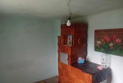 Casa Bodesti 50mp 2 camere bucataria anexe la sosea cu 1500mp teren - 8