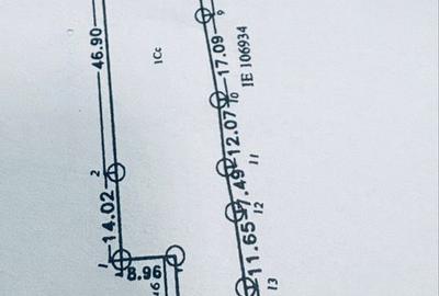 Spațiu comercial, în Lumina