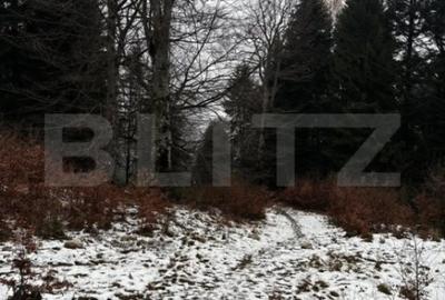 Teren de 4000 mp, în Calea Moroieni - 9