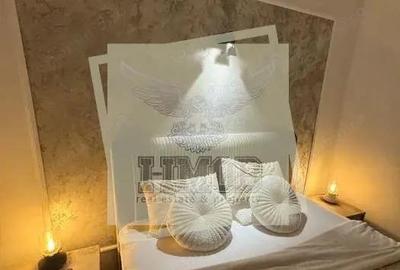 Casa 2 camere cu gradina in zona Parcul Sub Arini - 11