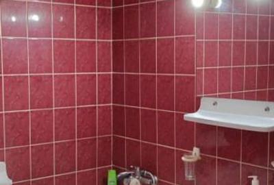 Dristor istriei apartament clasic - 16