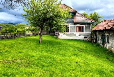 Teren Construcții intravilan de 7283 mp, în Moieciu de Jos - 14