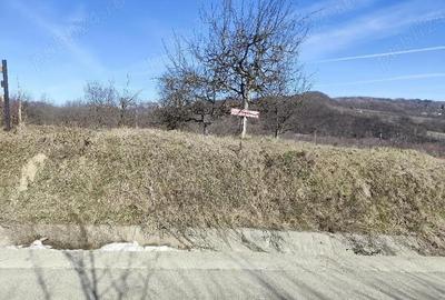 Teren de 1457 mp, în Micloșanii Mari - 3