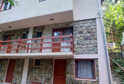 Spațiu comercial, de 450 mp, în Lepșa - 1