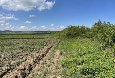 Teren la 13 KM de Baia Mare - 5