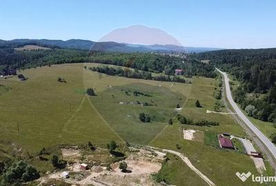 Teren de 5561 mp, în Paltin - 11