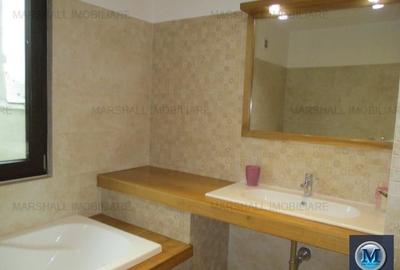 Spatiu  birouri de vanzare, zona Rudului, 269.9 mp #11861 - 16
