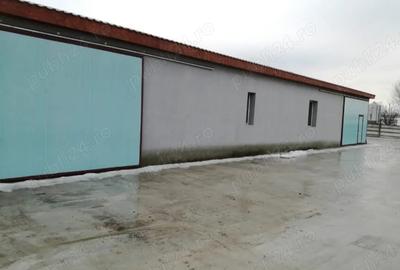 Persoana juridica inchiriez hala in Panic Zalau - 1