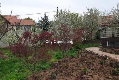 Vanzare vila Mogosoaia - Chitila Lac - 16