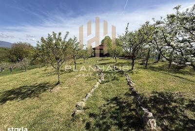 Casă cu 3 camere cu Teren 6790 Mp în Copalnic - 2