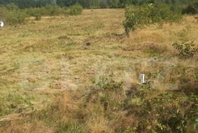 Teren extravilan 2900 mp, Car?i?oara- Sub Mal - 1