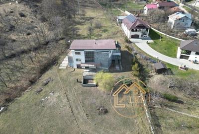 Valenii de Munte-Vila 13 camere, 6500mp teren, ideal business - 4
