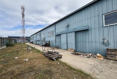 Vanzare depozit/hala/spatiu industrial Magurele - Atomistilor - 10