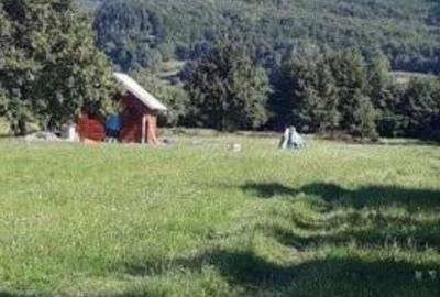 Teren de 6879 mp, în Dumbrăveni - 10