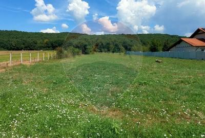 Teren Construcții intravilan de 2469 mp, în Bălata - 3