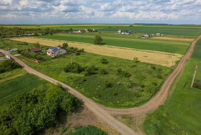 FRUMUSANI - POSTAVARI, TEREN 1500 MP, FRONT 30 M ! - 16