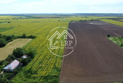 Teren Construcții intravilan de 15500 mp, în Creața - 5