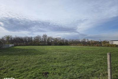 Teren de 7200 mp, în Sud - 6