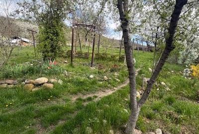 Casă individuală cu 4 camere cu Teren 2000 Mp în Beceni - 10