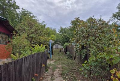 Casă cu teren 3.682 mp, sat Radu Vodă (com. Lupsanu, jud. Călărași) - 3