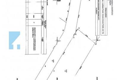 Teren Intravilan, 19400mp, zona locuinte colective/blocuri, zona Terra Floresti Teren Intravilan, 19400mp, zona locuinte colective/blocuri, zona Terra Floresti - 7