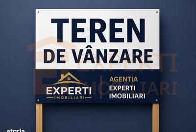 Spațiu comercial, în Crișan - 2