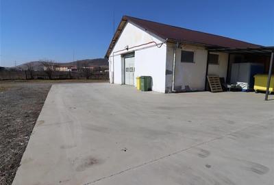 Teren intravilan 9359 mp  |  hala 786 mp | Apahida | zona Libertatii - 10
